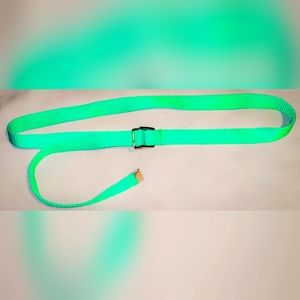 AA 00s belt 💚